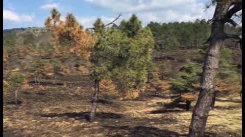 Piani di praglia webcam